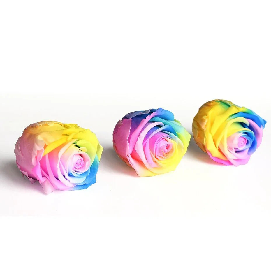 Roses Eternelles Boite Multicolores (Pack de 6) - Rose Eternelle La Boutique