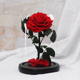Rose Eternelle Suprême ( Choix de couleur )