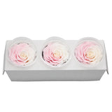 Roses Eternelle Boite Choix de Couleurs ( Pack de 3 )