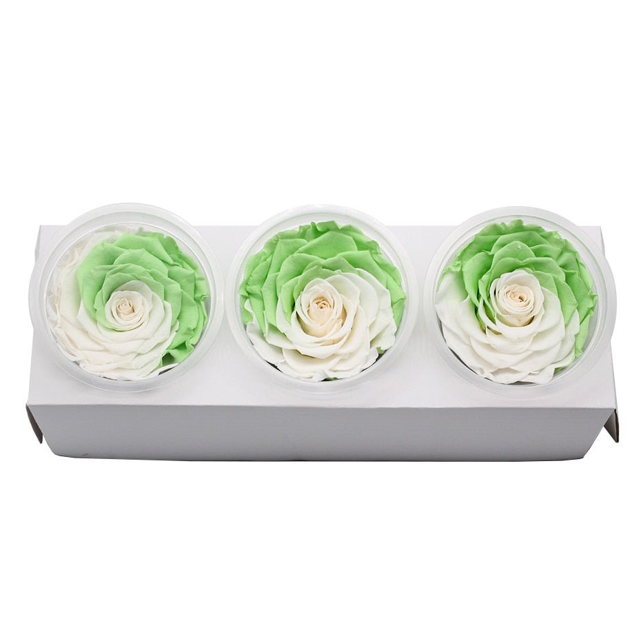Schachtel „Ewige Rosen“ – Farbauswahl (3er-Pack)