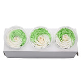 Roses Eternelle Boite Choix de Couleurs ( Pack de 3 )