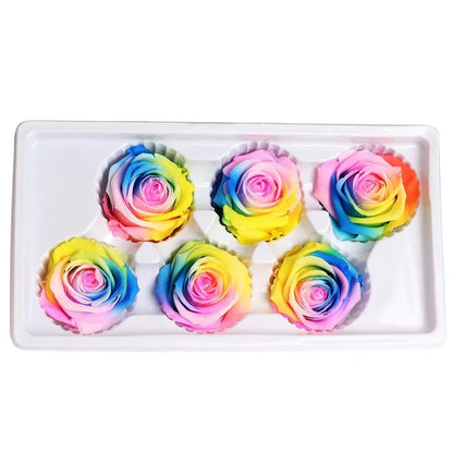 Roses Eternelles Boite Multicolores (Pack de 6) - Rose Eternelle La Boutique