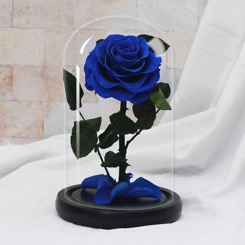 Rose Eternelle Suprême Bleu