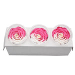 Roses Eternelle Boite Choix de Couleurs ( Pack de 3 )