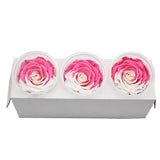 Roses Eternelle Boite Choix de Couleurs ( Pack de 3 )