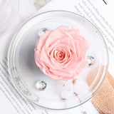 Rose eternel rose <br>sous dôme - Rose Eternelle La boutique