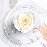 Rose Eternelle Sous Dôme (Choix de Couleurs)