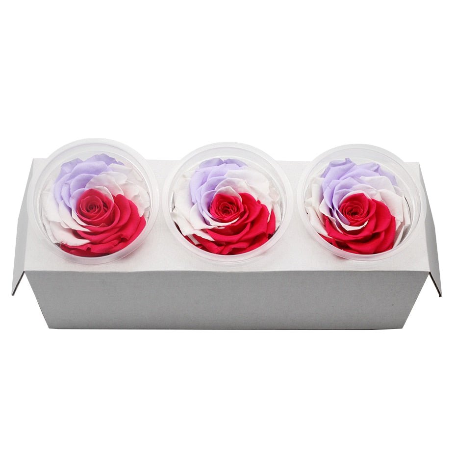 Schachtel „Ewige Rosen“ – Farbauswahl (3er-Pack)
