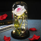Rose Eternelle Sous Cloche & LED  (Choix De Couleurs)