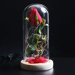 Rose Eternelle Eclosion (Choix de Couleurs)
