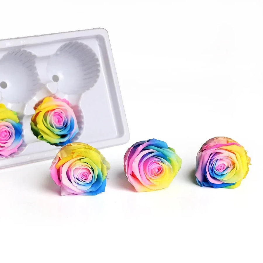 Roses Eternelles Boite Multicolores (Pack de 6) - Rose Eternelle La Boutique