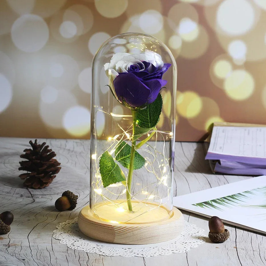 Rose Eternelle Edition Multicolore : (Choix de Couleurs) - Rose Eternelle La Boutique