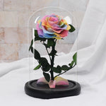 Rose Eternelle Suprême ( Choix de couleur )