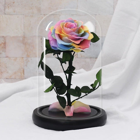Rose Eternelle Suprême ( Choix de couleur )