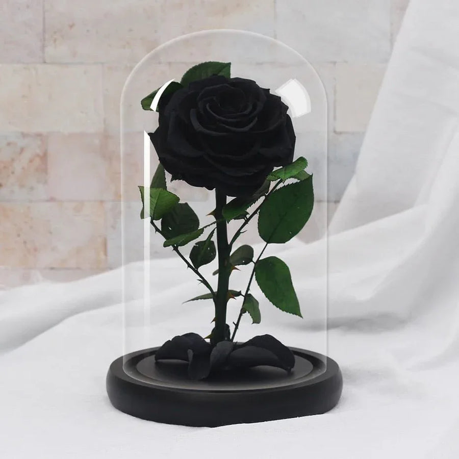 Rose Eternelle Suprême ( Choix de couleur ) - Rose Eternelle La Boutique