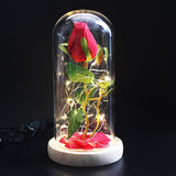 Rose Eternelle Eclosion (Choix de Couleurs)