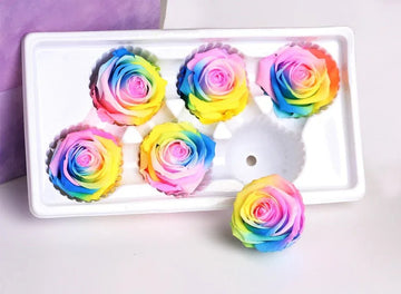 Roses Eternelles Boite Multicolores (Pack de 6) - Rose Eternelle La Boutique