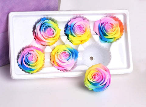 Roses Eternelles Boite Multicolores (Pack de 6)