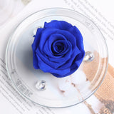 Rose Eternelle Sous Dôme (Choix de Couleurs)