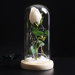 Rose Eternelle Eclosion (Choix de Couleurs)