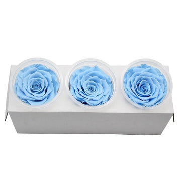 Roses Eternelle Boite Fleurs Bleu ( Pack de 3 ) - Rose Eternelle La Boutique