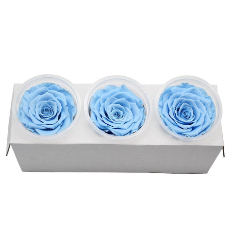 Roses Eternelle Boite Fleurs Bleu ( Pack de 3 )
