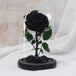 Rose Eternelle Suprême ( Choix de couleur )