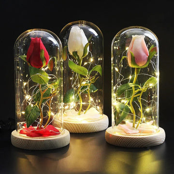 Rose Eternelle Eclosion (Choix de Couleurs) - Rose Eternelle La Boutique