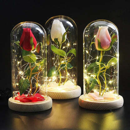 Rose Eternelle Eclosion (Choix de Couleurs) - Rose Eternelle La Boutique