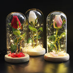 Rose Eternelle Eclosion (Choix de Couleurs)