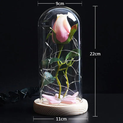 Eternal Rose still closed rose