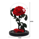 Rose Eternelle Suprême ( Choix de couleur )