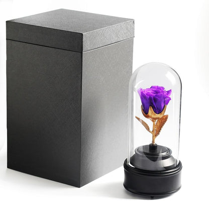 Rose eternelle <br> boite a musique<br>violette - Rose Eternelle La boutique