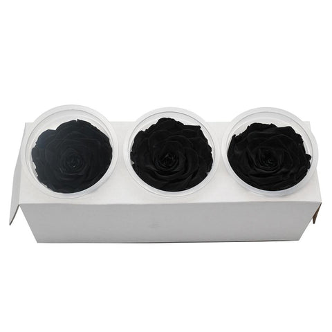 Boite de 3 rose eternelle<br> noir - Rose Eternelle La boutique