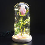 Rose Eternelle Eclosion (Choix de Couleurs)