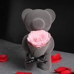 Rose Eternelle Ours (Choix de Couleurs)