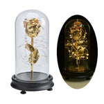 Eblouissante Rose Eternelle Doré  "Ainy Rose" avec Coffret