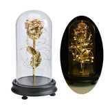 Eblouissante Rose Eternelle Doré  "Ainy Rose" avec Coffret