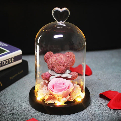 Rose Eternelle Ourson Sous Cloche & LED Rose