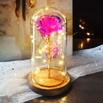Rose Eternelle Crystal Sous Cloche (Choix de Couleurs)