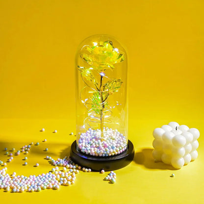 Rose Eternelle Lumineuse & Sous Cloche ( Choix de style ) - Rose Eternelle La Boutique