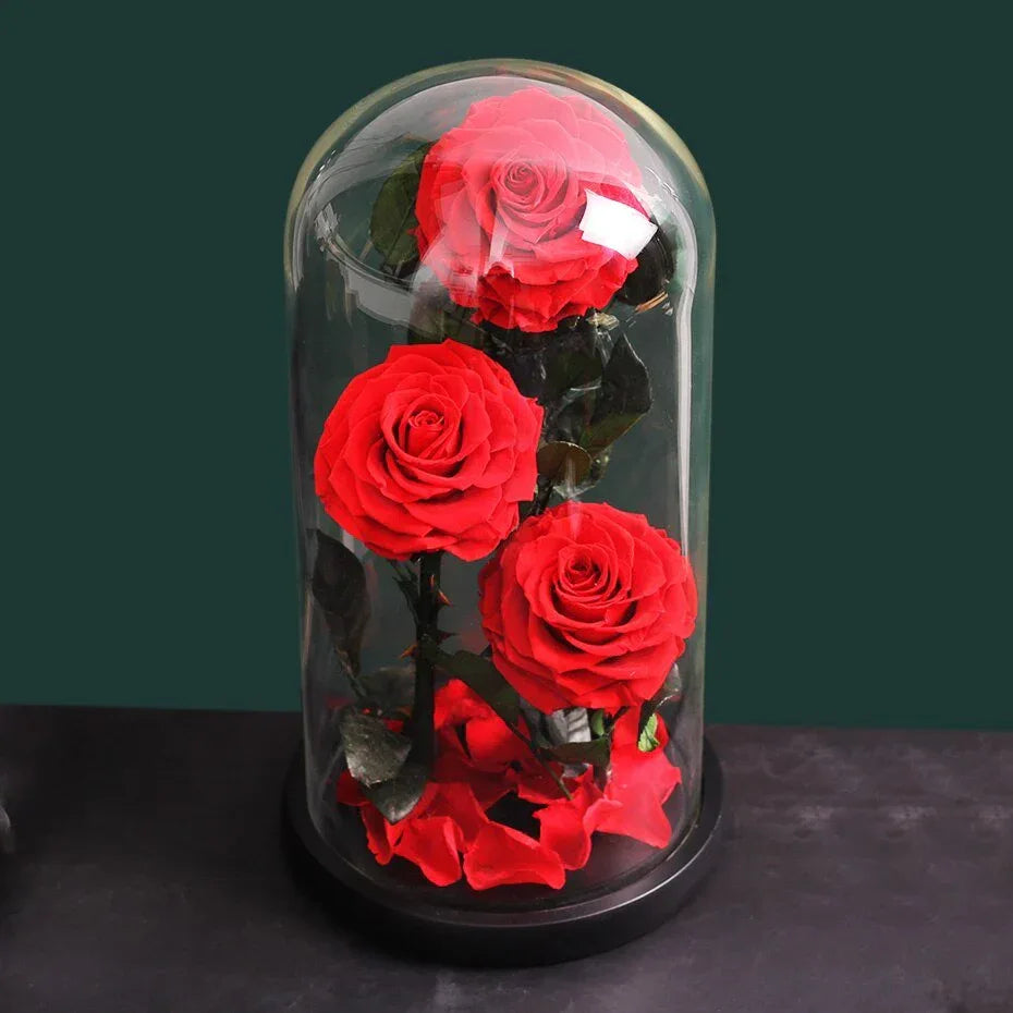 Rose Eternelle Premium (Style au Choix) - Rose Eternelle La Boutique