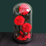 Rose Eternelle Premium (Style au Choix)