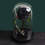 Rose Eternelle Premium (Style au Choix)