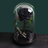 Rose Eternelle Premium (Style au Choix)