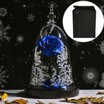 Rose Eternelle Suprême avec Cloche design ( Choix de couleur )
