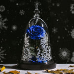 Rose Eternelle Suprême avec Cloche design ( Choix de couleur )