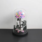 Prestigieuse Rose Multicolore avec Boite