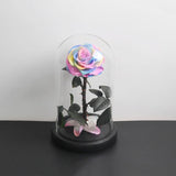 Prestigieuse Rose Multicolore avec Boite