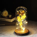 Rose Eternelle Crystal Sous Cloche (Choix de Couleurs)